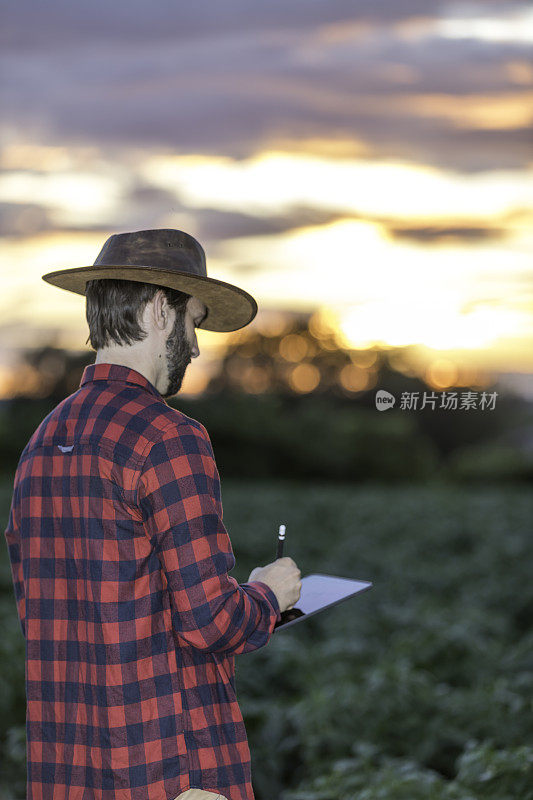 Man Farmer在日落时使用数字平板电脑